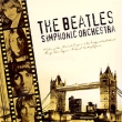 The Beatles Symphonic Orchestra Формат: Audio CD (Jewel Case) Дистрибьютор: Правительство звука Лицензионные товары Характеристики аудионосителей 2003 г Альбом инфо 3229d.