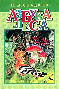 Азбука леса Серия: Внеклассное чтение инфо 8904i.